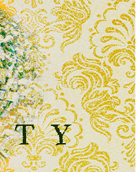 immunity banner 3 - prestige provisions