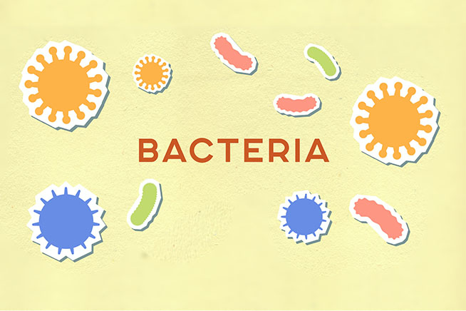 different types of bacteria in different colours - black seed oil benefits for your face