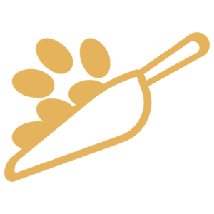 premium black seeds for cold-pressing png version- prestige provisions