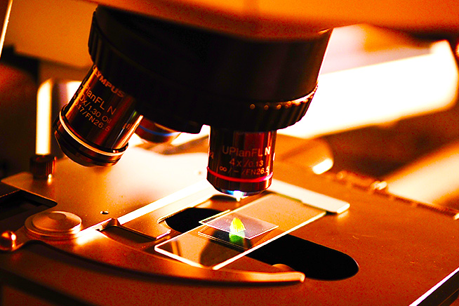 laboratory-microscope-black-seed-oil-for-immunity