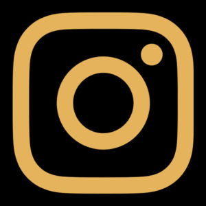 golden instagram icon - prestige provisions