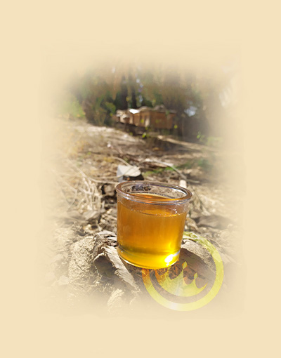 glass of yemeni sidr honey near beehives - prestige provisions