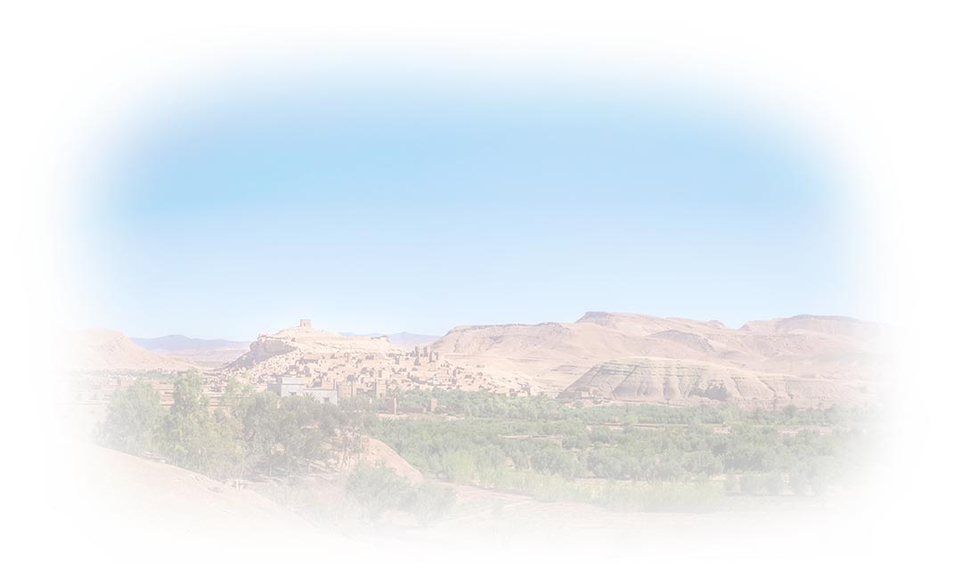 Egyptian Black Seed Oil Wholesale | PRESTIGE PROVISIONS