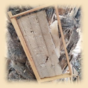 large yemeni sidr honeycomb removed from beehive leaning on a tree with prestige provisions logo